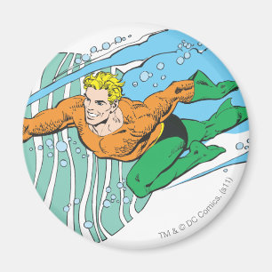 Aquaman Leaps Links Magneet