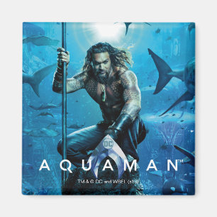 Aquaman Prince Orin with Aquatic Animals Magneet