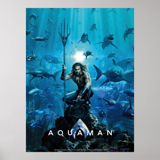 Aquaman | Prince Orin with Aquatic Animals Poster (Voorkant)