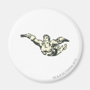 Aquaman Soars BW Magneet