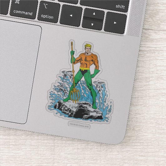 Aquaman Stands met Pitchfork Sticker (Detail)