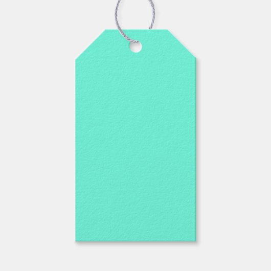 Aquamarijn Blauw Groen Turquoise Stevige Kleur Cadeaulabel (Voorkant)