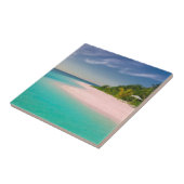 Aquamarine Ocean Tropical Beach Scenic Tegeltje (Zijkant)