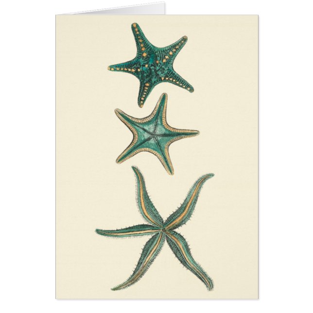 Aquamarine Triple Starfish (Voorkant)