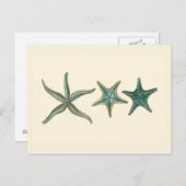 Aquamarine Triple Starfish Briefkaart (Voorkant / Achterkant)