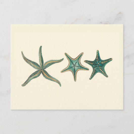 Aquamarine Triple Starfish Briefkaart (Voorkant)