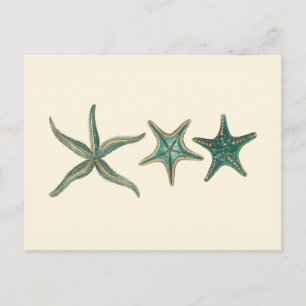 Aquamarine Triple Starfish Briefkaart