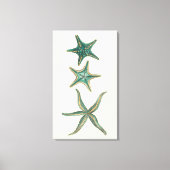 Aquamarine Triple Starfish Canvas Afdruk (Voorkant)