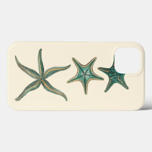 Aquamarine Triple Starfish Case-Mate iPhone Case (Achterkant (horizontaal))