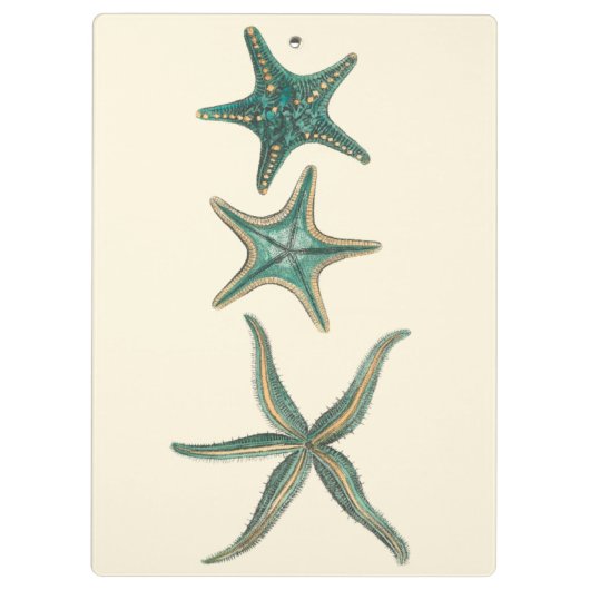 Aquamarine Triple Starfish Klembord (Achterkant)