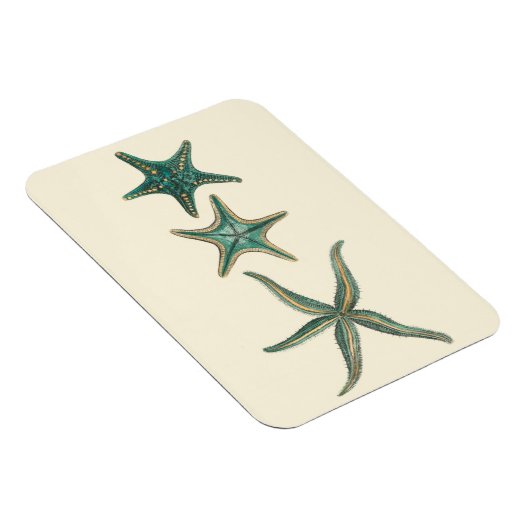 Aquamarine Triple Starfish Magneet (Rechterzijde)