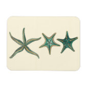 Aquamarine Triple Starfish Magneet (Horizontaal)