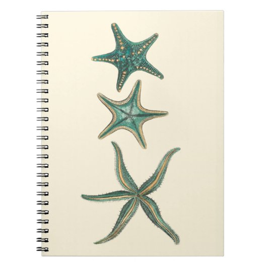 Aquamarine Triple Starfish Notitieboek (Voorkant)