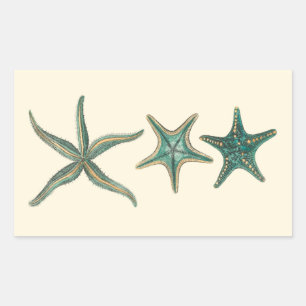Aquamarine Triple Starfish Rechthoekige Sticker