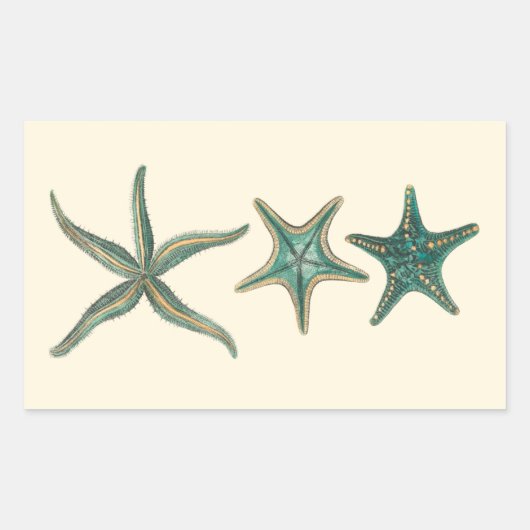 Aquamarine Triple Starfish Rechthoekige Sticker (Voorkant)