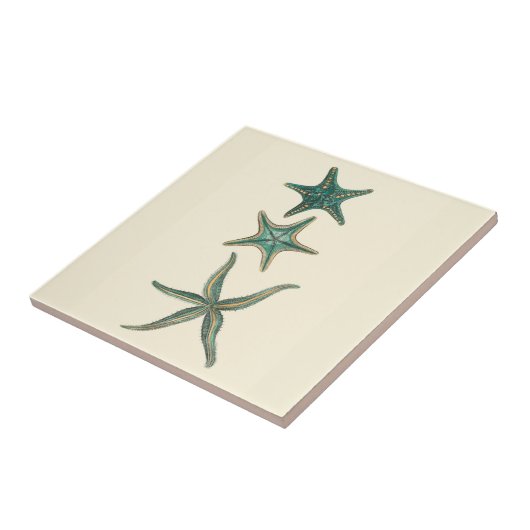 Aquamarine Triple Starfish Tegeltje (Zijkant)