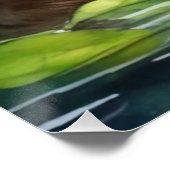 Aquarel Bever Poster (Hoek)