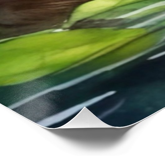 Aquarel Bever Poster (Hoek)