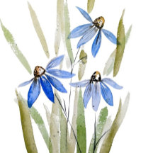 Aquarel Blue Daisies Wenskaart