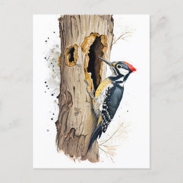 Aquarel Boomkruiper op zoek naar insecten Briefkaart