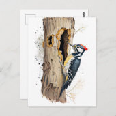 Aquarel Boomkruiper op zoek naar insecten Briefkaart (Voorkant / Achterkant)