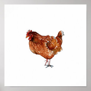 Aquarel Bruine Kip Vogel Schilderij Poster
