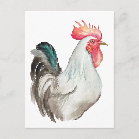 Aquarel hand tekening van een Haan Briefkaart (Voorkant)