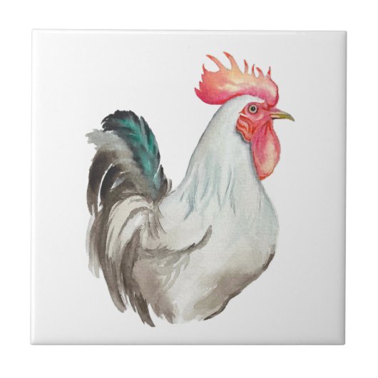Aquarel hand tekening van een Haan Tegeltje (Voorkant)