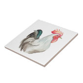 Aquarel hand tekening van een Haan Tegeltje (Zijkant)