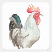 Aquarel hand tekening van een Haan Vierkante Sticker (Voorkant)