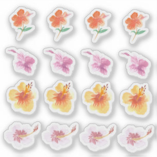 Aquarel Hibiscus Kleurrijke Bloemen Handgeschilder Sticker
