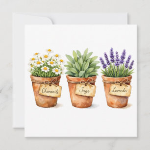 Aquarel Kruiden die in de Potten Groeien  Kaart
