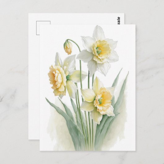 Aquarel Narcissen Wit en Geel Vintage  Briefkaart (Voorkant / Achterkant)