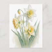 Aquarel Narcissen Wit en Geel Vintage  Briefkaart (Voorkant)