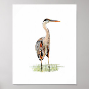 Aquarel Reiger Vogel Schilderij Poster