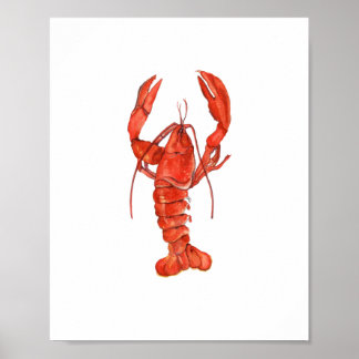 Aquarel Rode Kreeft Schilderij Wandkunst Poster