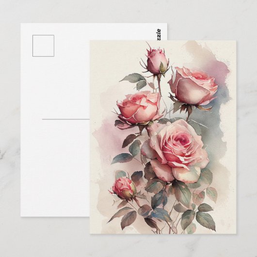 Aquarel Roze Rozen Vintage  Briefkaart (Voorkant / Achterkant)