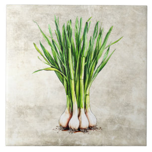Aquarel Rustieke Bosuitjes Nep Textuur Tegeltje