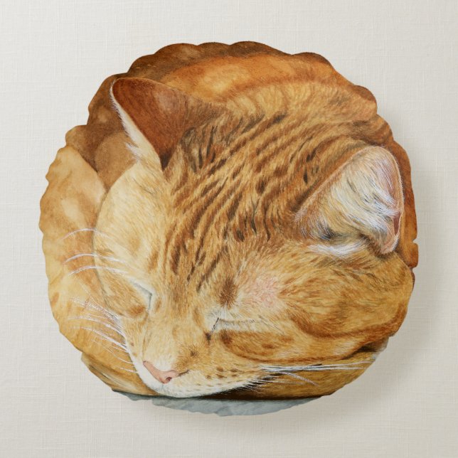 Aquarel Schattige Sleepy Cat Sierkussen Rond Kussen (Voorkant)