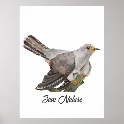 Aquarel schilderij van een koekoek poster (Voorkant)