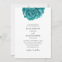 Aquarel succulent. Blauwe & turquoise cactus bruil