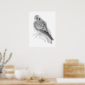 Aquarel Torenvalk Mus Sperwer Valk Vogel Poster (Keuken)