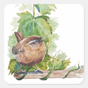 Aquarel Winterkoning Vogel Wijngaard Druiven Blade Vierkante Sticker
