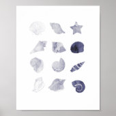 Aquarel Zee Shell nautische kunst Poster (Voorkant)
