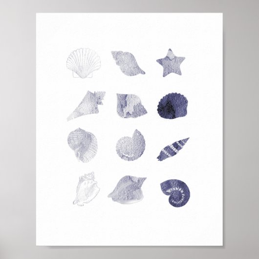 Aquarel Zee Shell nautische kunst Poster (Voorkant)