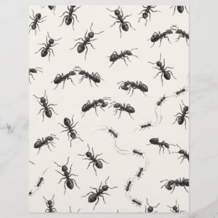 Aquarel Zwarte Mieren Entomologie Scrapbook Papier
