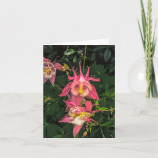 Aquarelkaart Columbine @ Stenton House Museum & Ga Bedankkaart