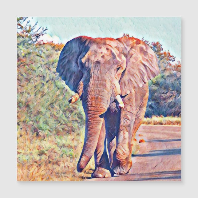 aquarell elephant (Voorkant)
