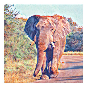 aquarell elephant foto afdruk