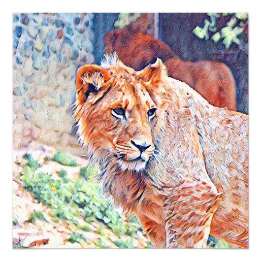 aquarell lion foto afdruk (Voorkant)